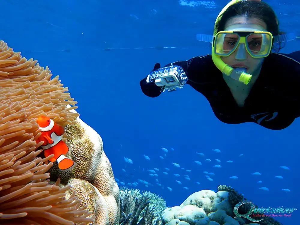 Quicksilver Outer Great Barrier Reef Cruise from Port Douglas