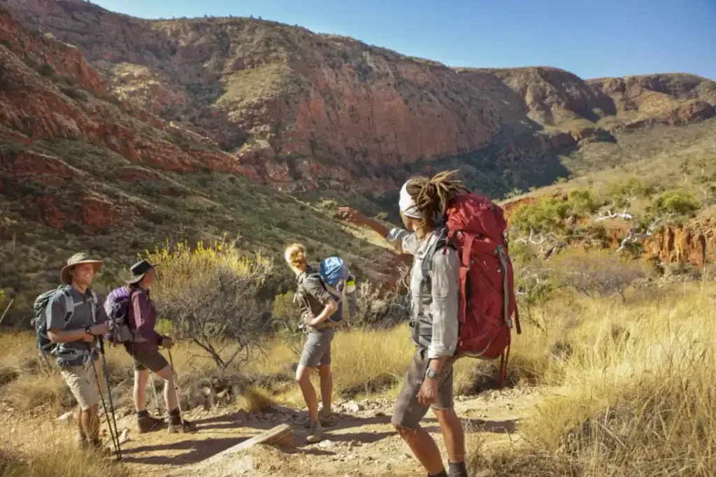 Larapinta Trail 5 Day Trek - Twin Share Safari Tent from Alice Springs