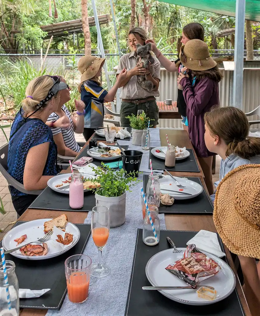 Selina Breakfast with Koalas | Magnetic Island