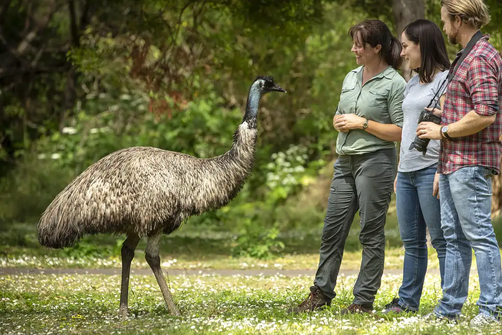 3 Day Great Ocean Road & Grampians Explorer | Start & End Melbourne