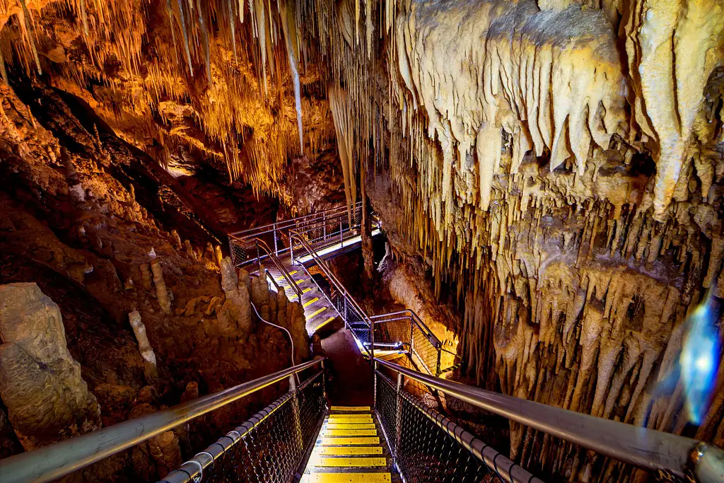 Tahune Airwalk & Hastings Cave From Hobart