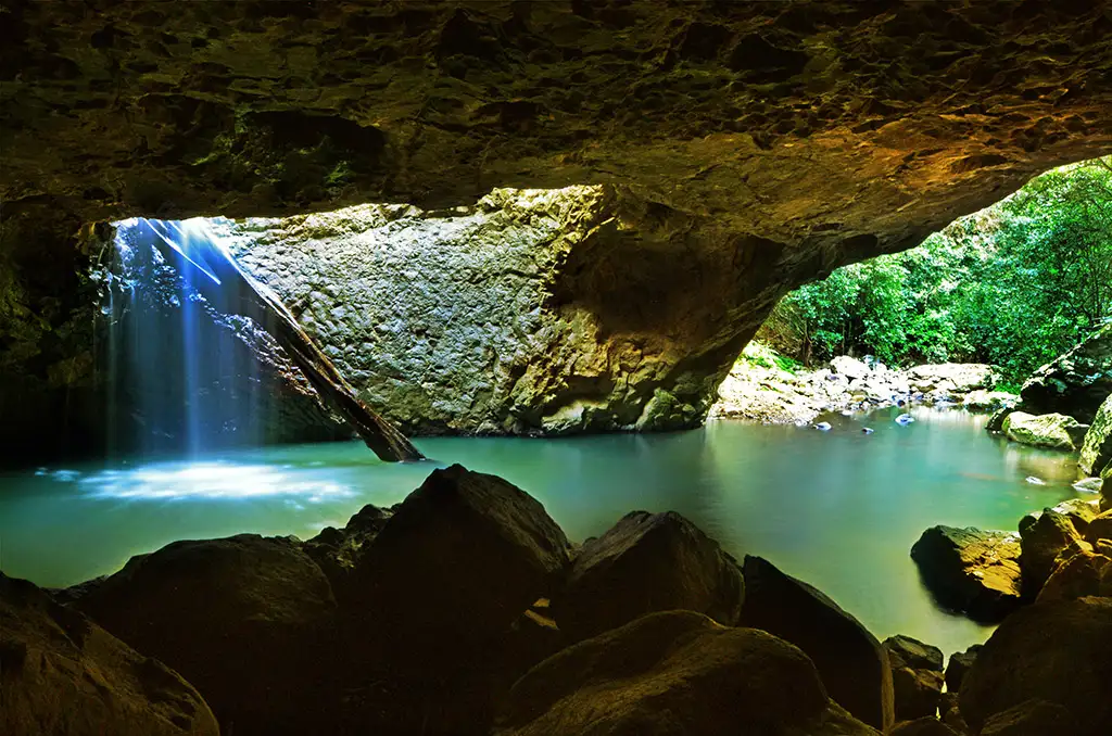 Springbrook & Tamborine Rainforest Day Tour