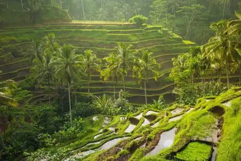 9 Day Beautiful Bali Tour