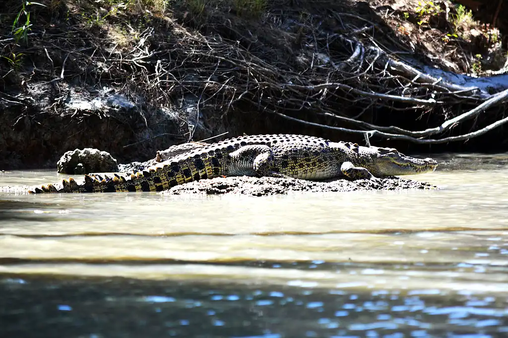 Top End Wildlife & Nature Tour