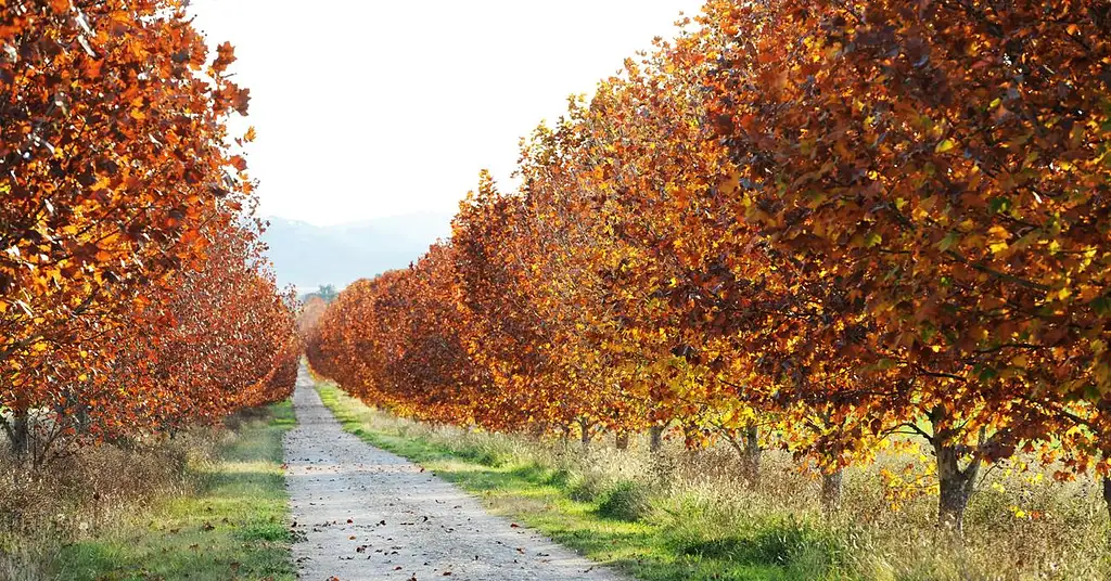 3 Day Self Guided E-Cycling Tour of Mudgee's Cellar Doors