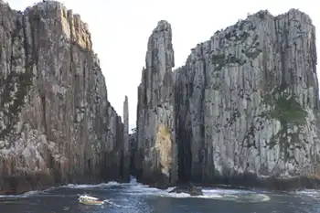 Tasman Island 3 Hour Cruise - Departing Port Arthur