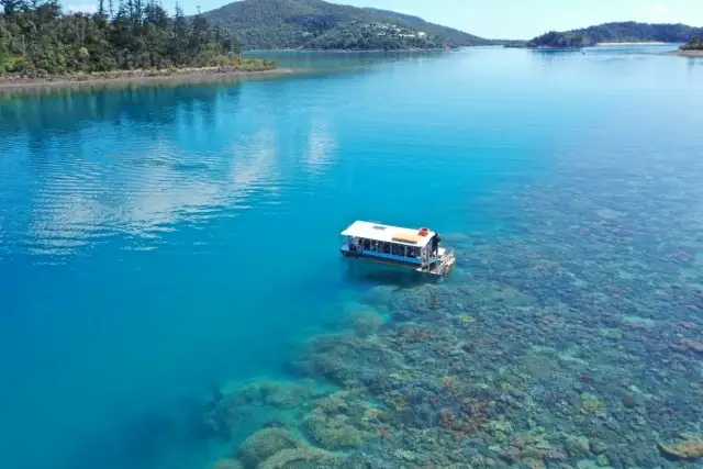 Glass Bottom Boat Tour - Shute Harbour