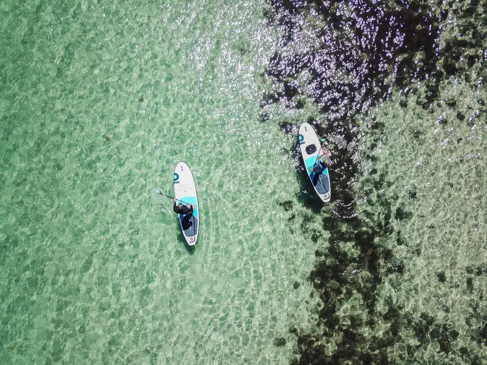 Wild Mornington Peninsula SUP Safari Adventure