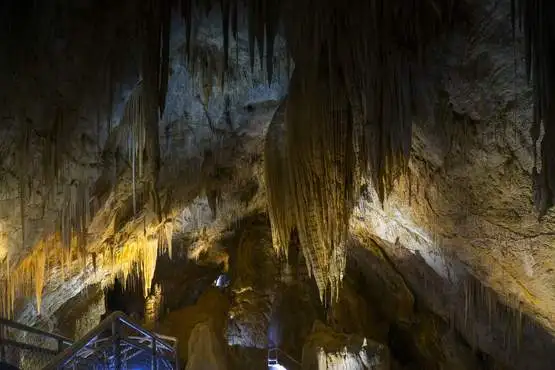 Hastings Caves, Tahune & Huon Valley Tour