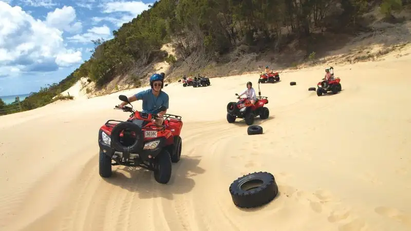 ATV Quad Bike Day Cruise with Option for Wild Dolphin Feeding Upgrade