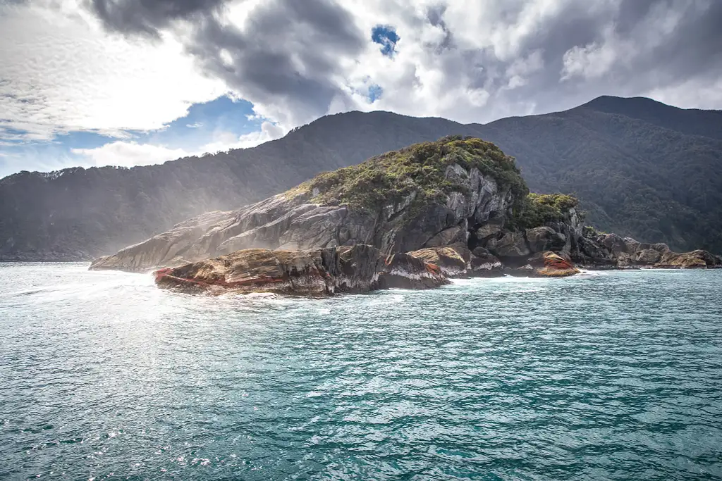 Doubtful Sound Wilderness Cruise