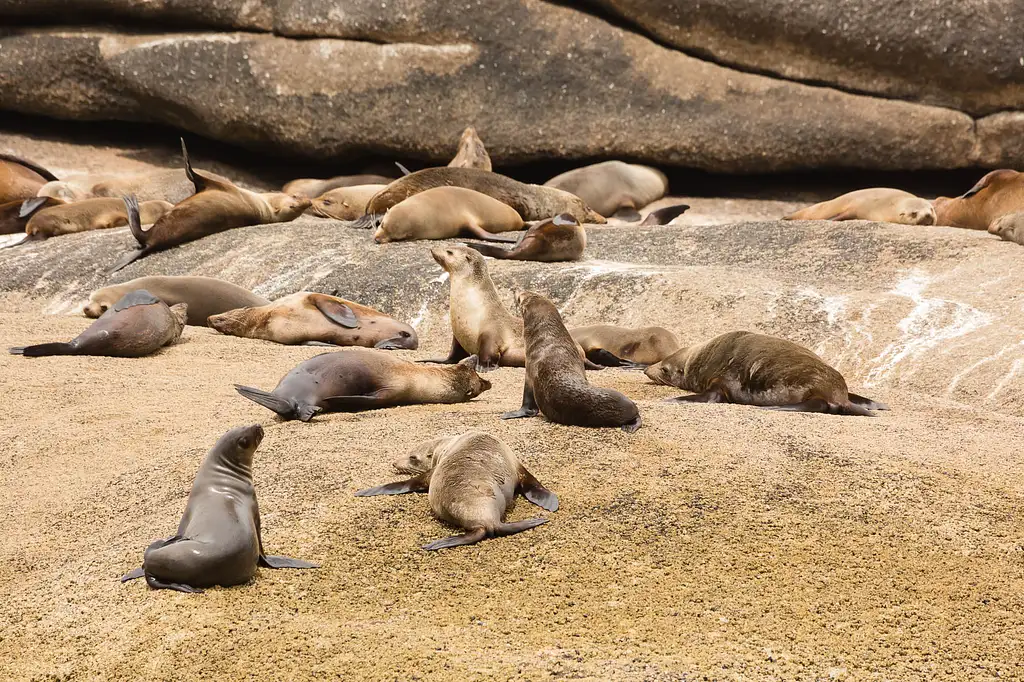 2.5 Hour Wilsons Promontory Cruise | Discover Skull Rock