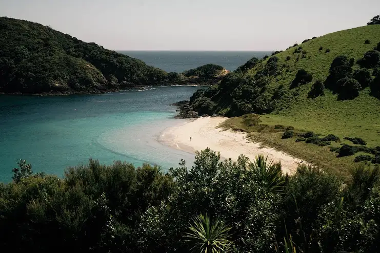 Bay of Islands Day Cruise