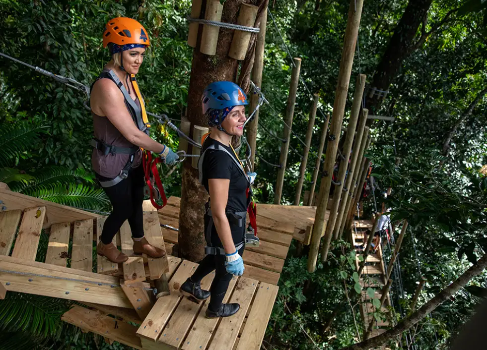 Zipline Tour Cape Tribulation