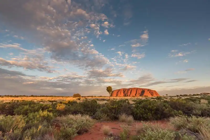 4 Day Uluru Adventure | Uluru to Uluru