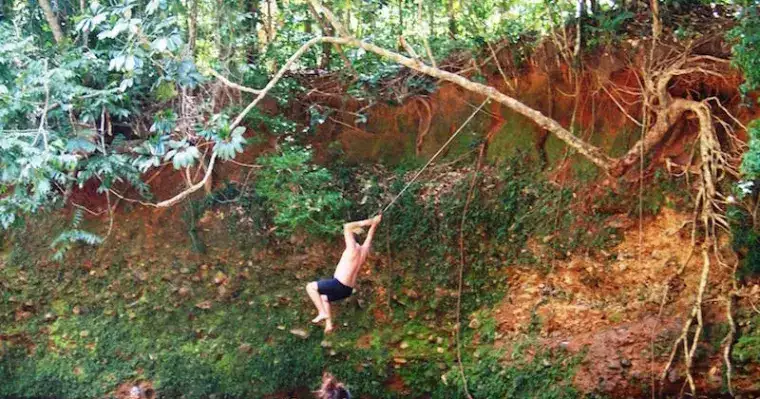 Uncle Brian's Cape Tribulation Day Tour