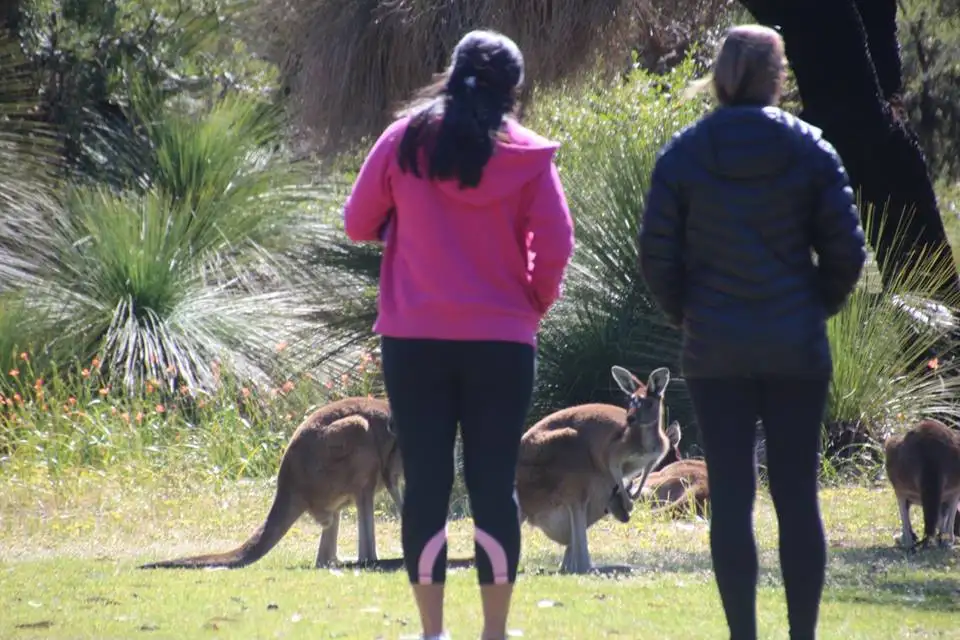 Yanchep National Park,  Pinnacles & Sandboarding