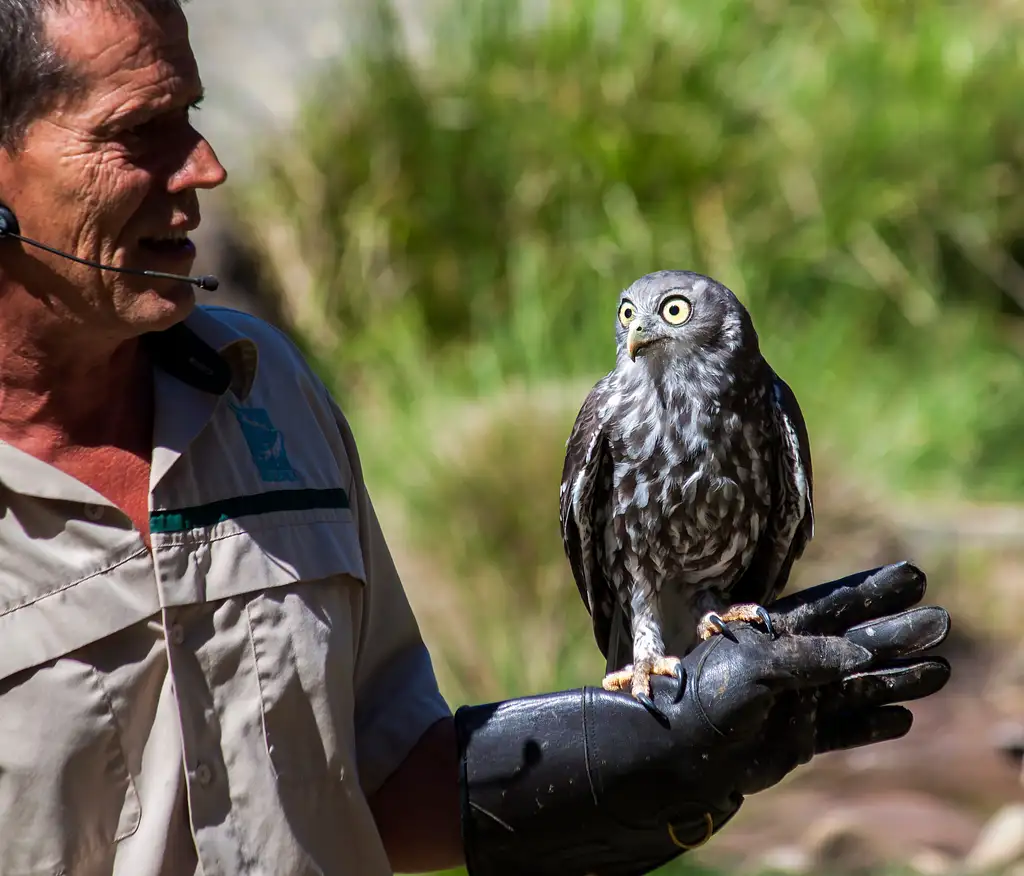 Healesville Sanctuary and Puffing Billy Scenic Bus Tour