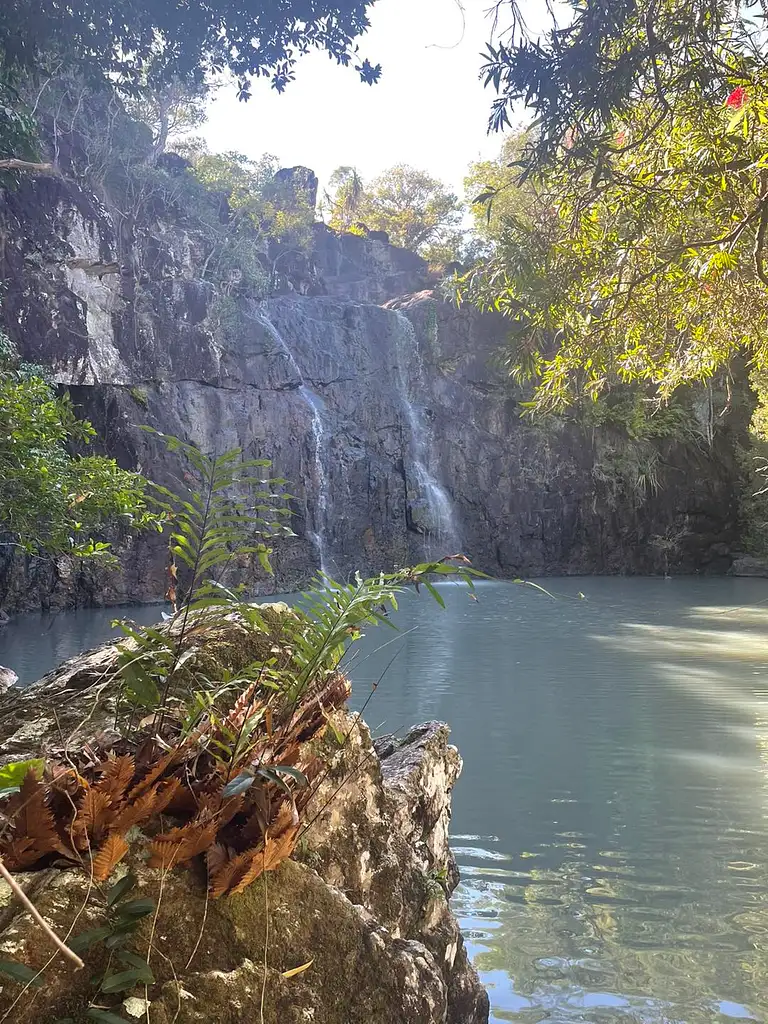 Cedar Creek Express - Airlie Beach