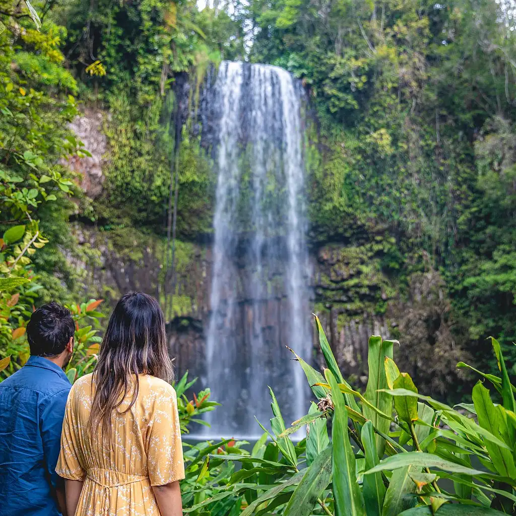 Atherton Tablelands Food and Wine Tour