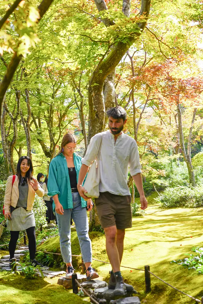 Kyoto Arashiyama Bamboo forest & Garden Half-Day Walking Tour