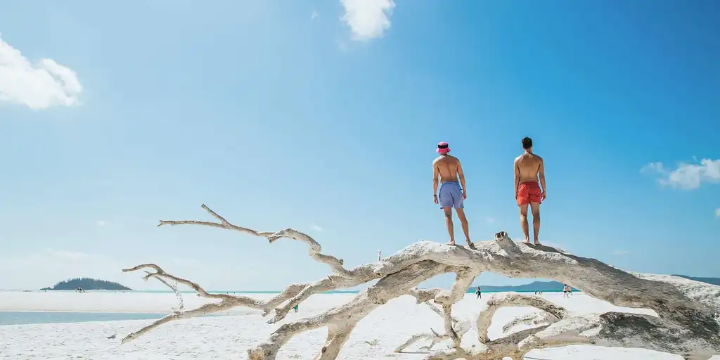 Whitehaven Beach Chill And Grill Experience