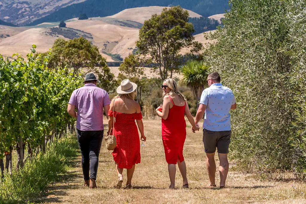 Waipara Wine Tour