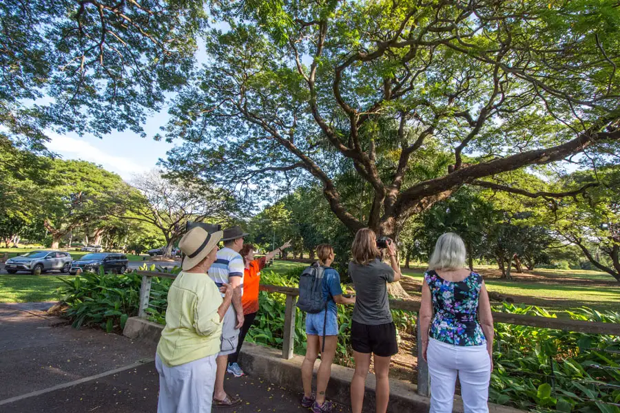 Walk the Botanic Gardens