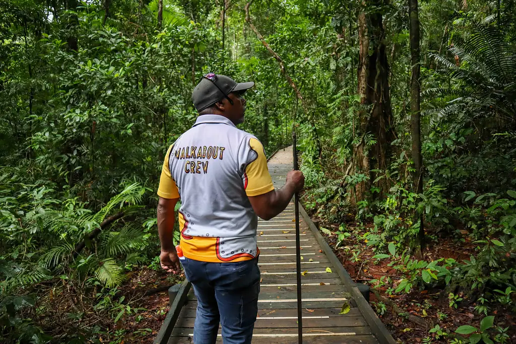 Cape Tribulation Tour - Full or Half Day Option