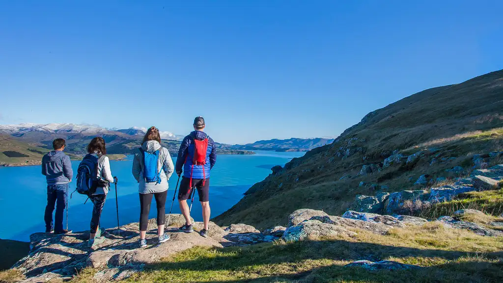 Christchurch Full-Day Guided Crater Rim Walk