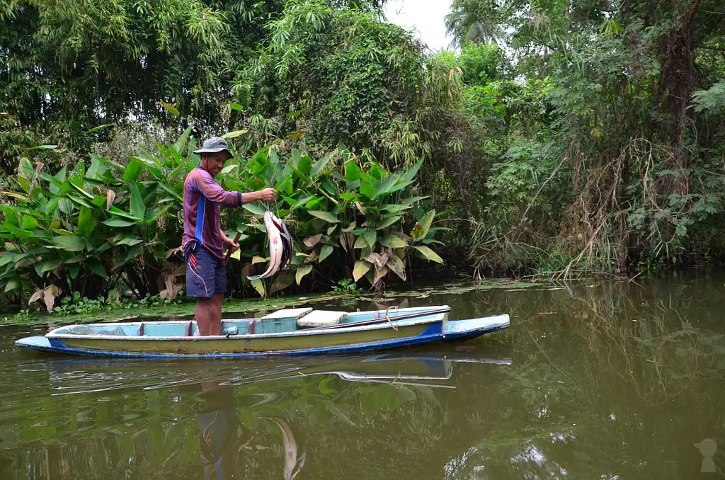 Khlong Lat Mayom Floating Market Tour