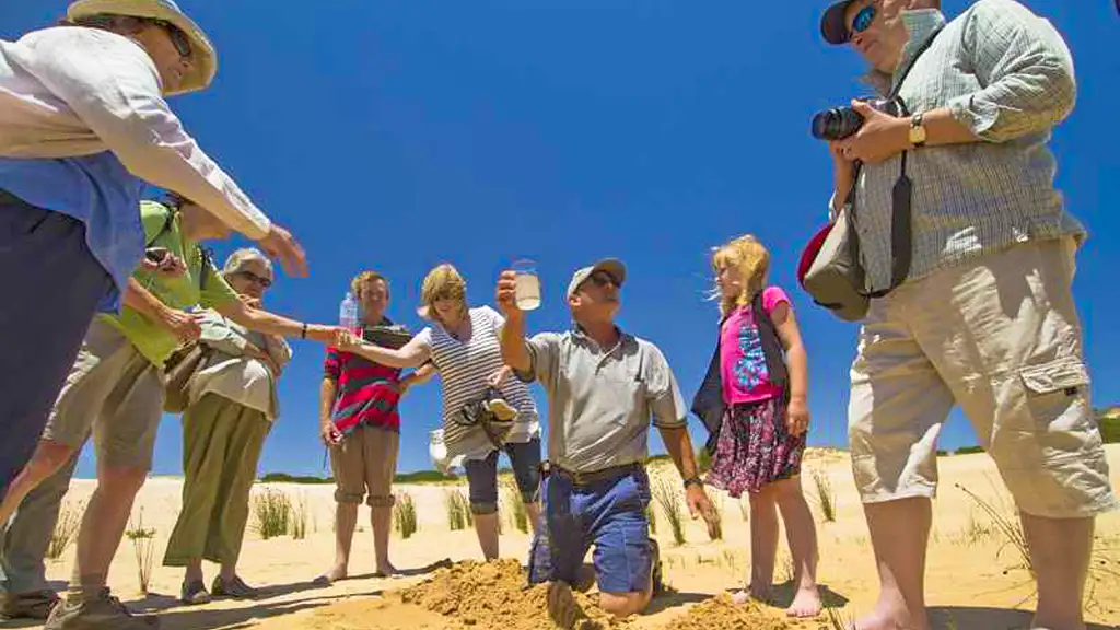 Coorong Adventure Cruise Along Murray River