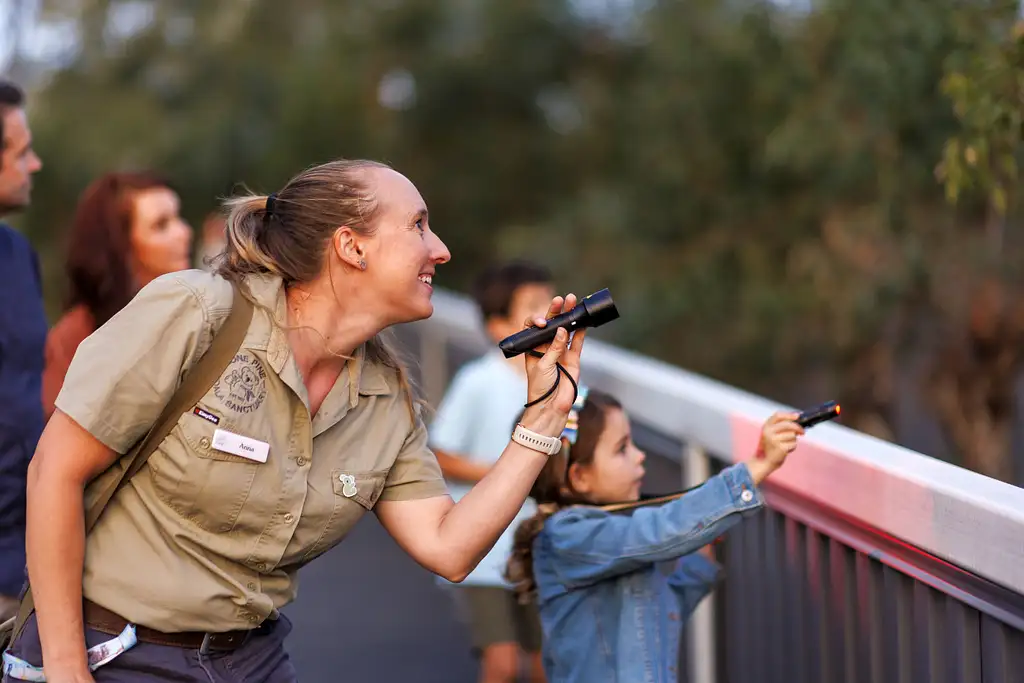 Lone Pine Koala Sanctuary Nocturnal Tour