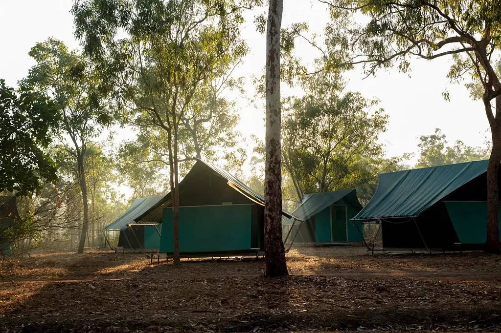 3 Day Kakadu to Litchfield 4WD Safari Tent Camping | From Darwin