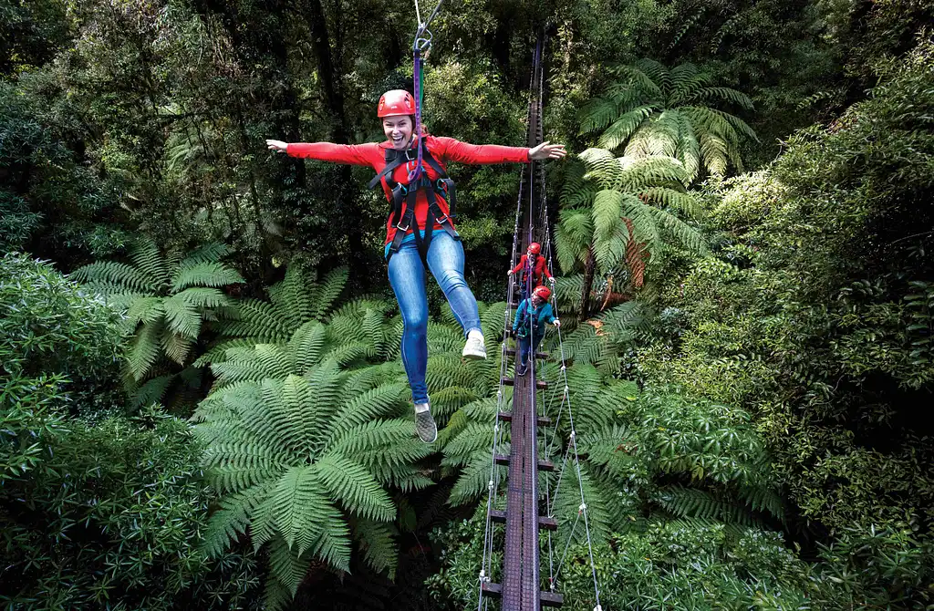 The Original Canopy Tour