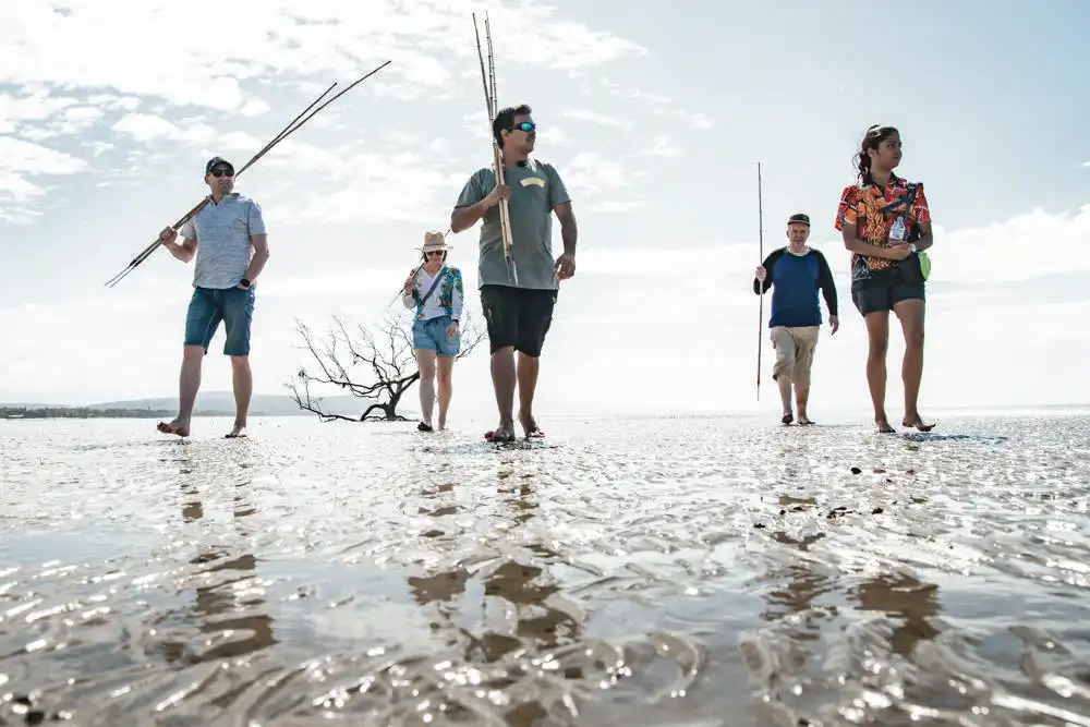 Full Day Or Half Day Daintree Rainforest Walkabout