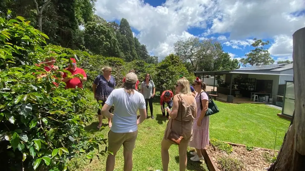 Tastes of Tamborine Mountain Tour