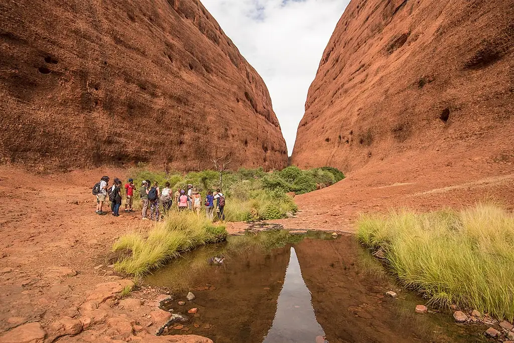 3 Day Uluru & Kings Canyon Express | Intrepid Tour