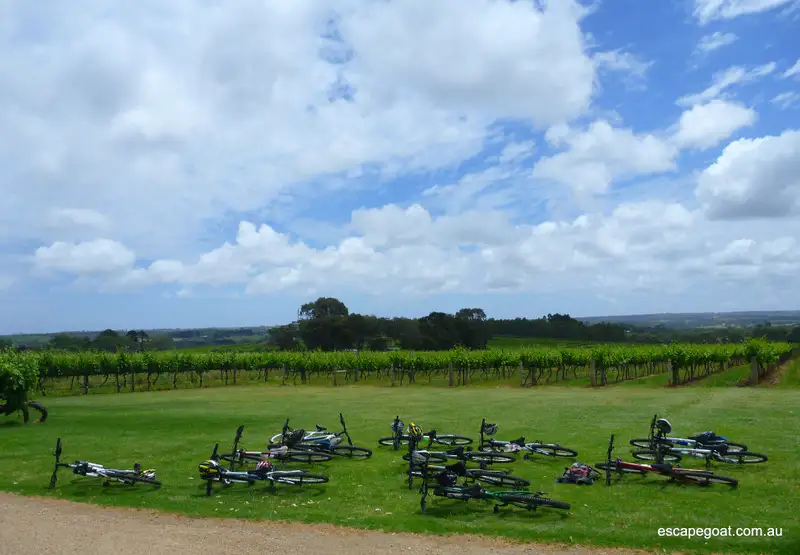 McLaren Vale Wine & Bike Tour