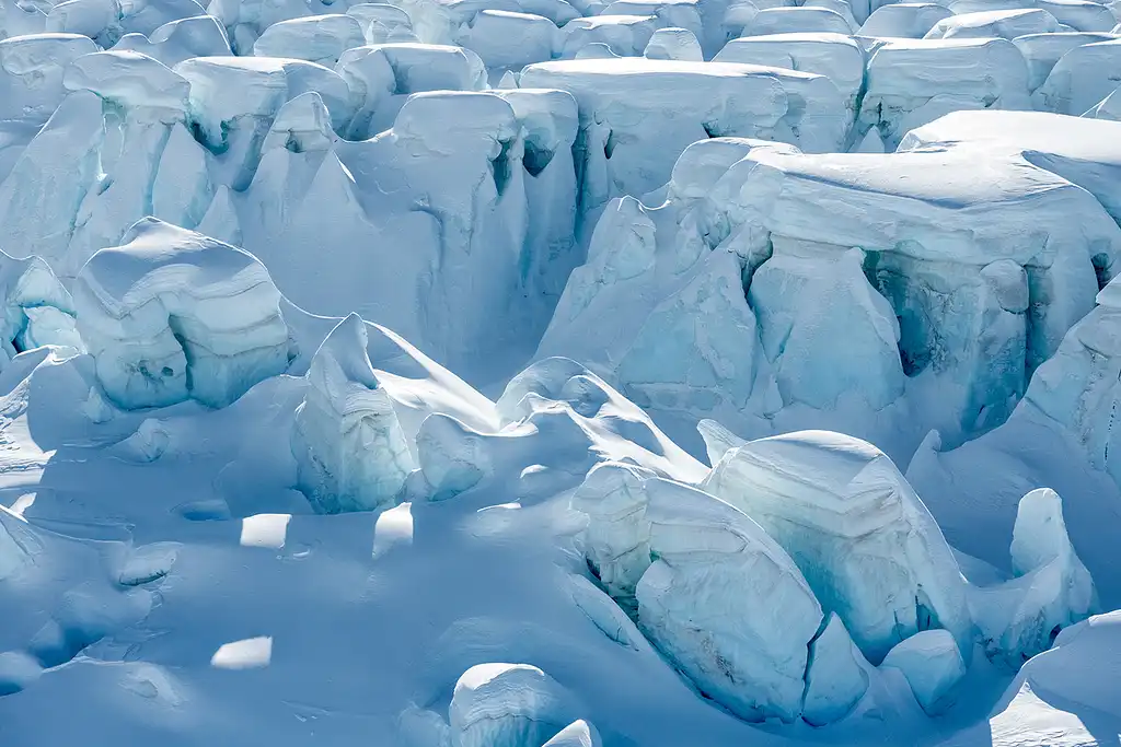 The Grand Tour - 40 Minute Scenic Flight Departing Fox Glacier