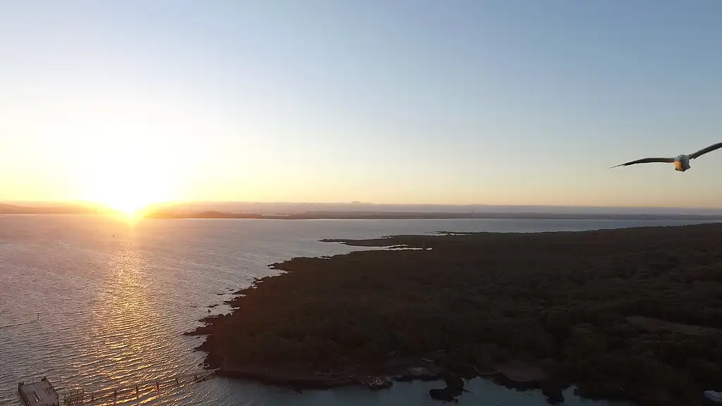 Rangitoto Island Kayaking Tour