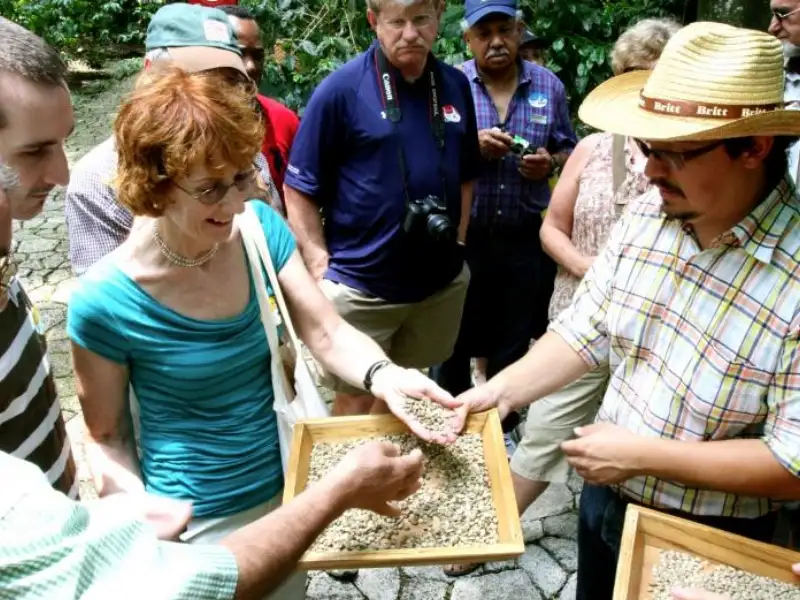 Coffee Tour from San José