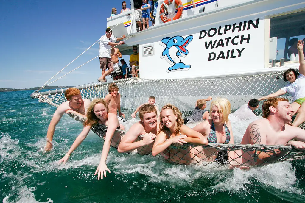 Port Stephens Dolphin Discovery Cruise