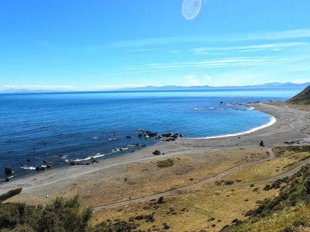 Seal Coast Safari