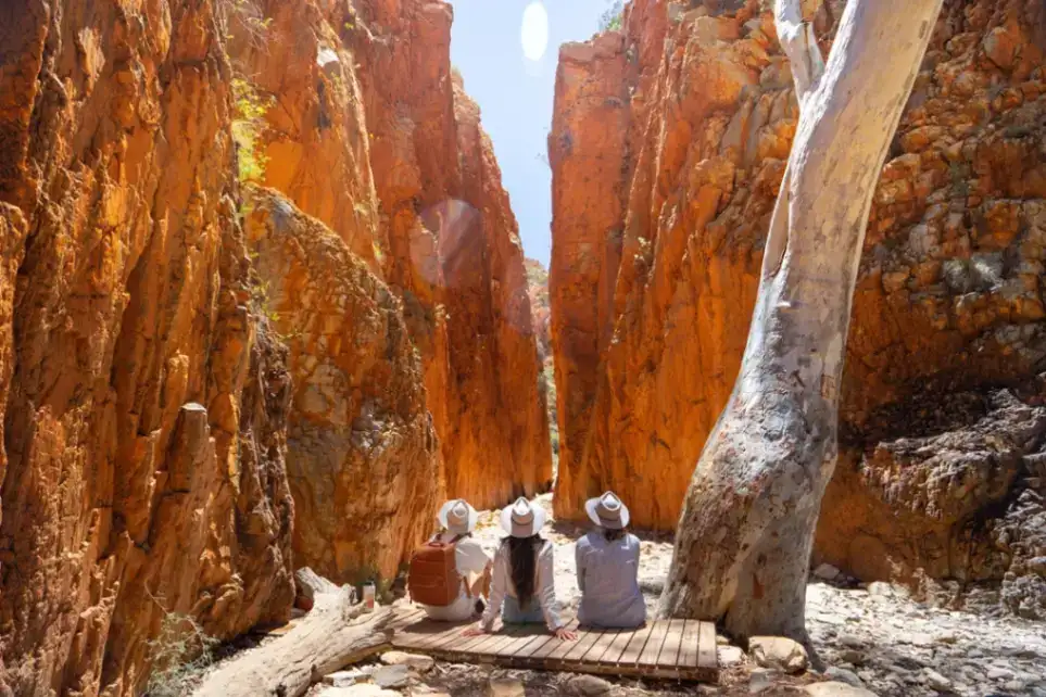 West MacDonnell Ranges (Tjoritja) Tour from Alice Springs