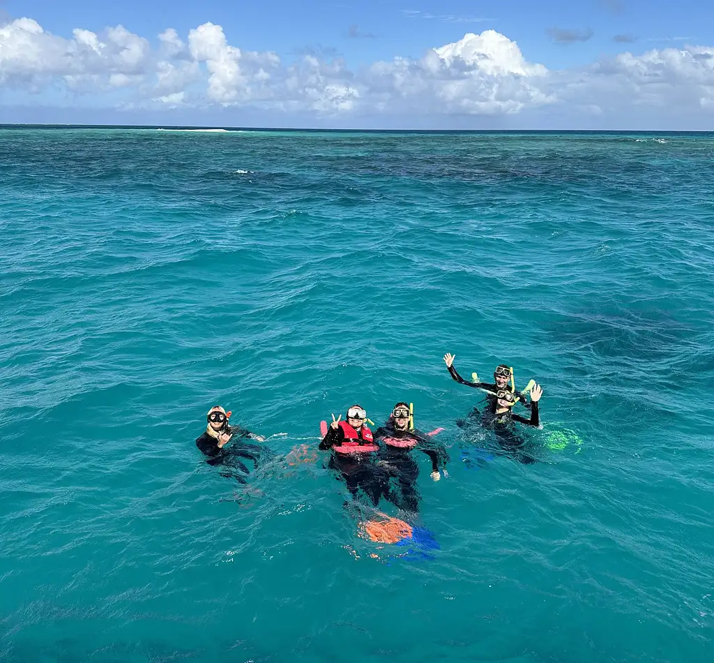 Great Barrier Reef Snorkelling Half Day Tour  | Mission Beach