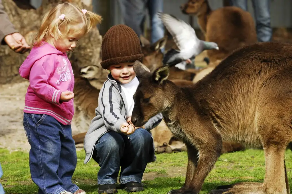 Sovereign Hill & Ballarat Wildlife Park Tour