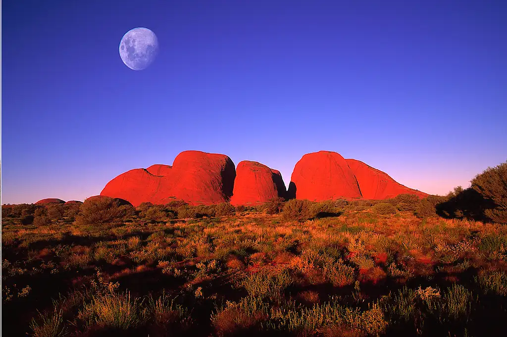 Kata Tjuta Walpa Gorge Tour