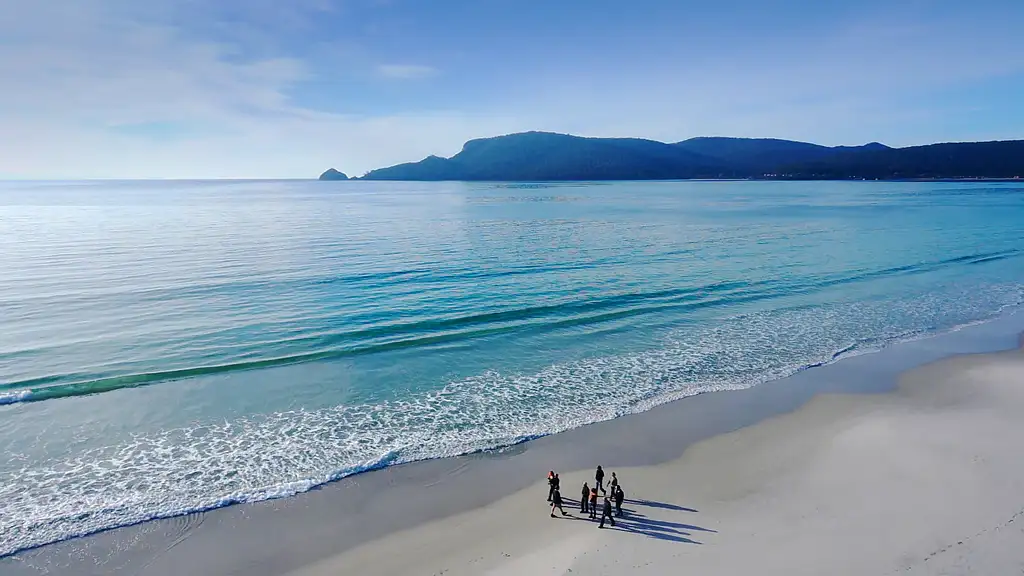 Bruny Island Traveller - Gourmet Tasting and Sightseeing Day Trip from Hobart