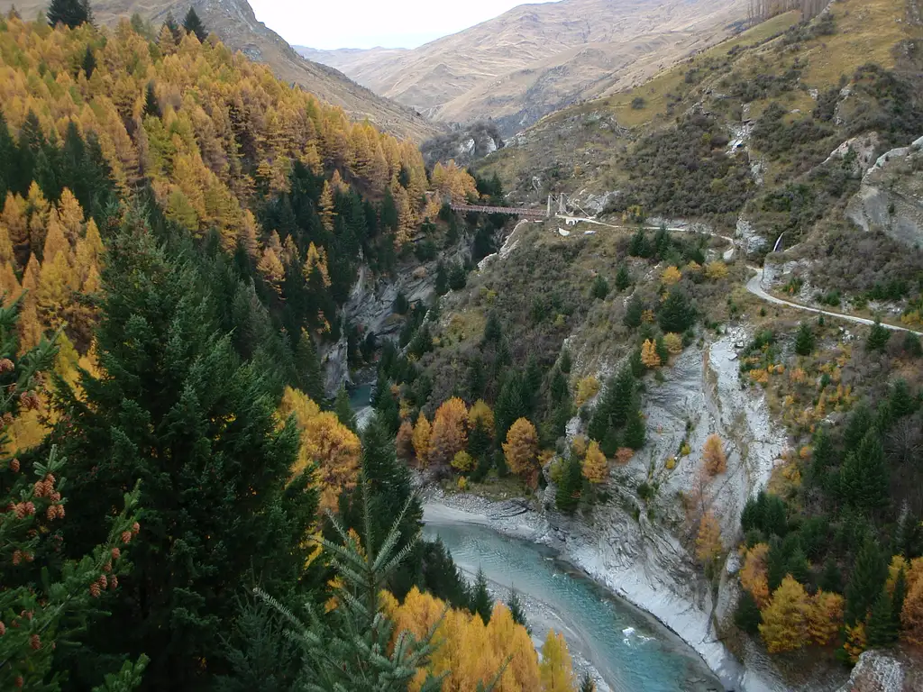 Gold Heritage: Skippers Canyon Tour